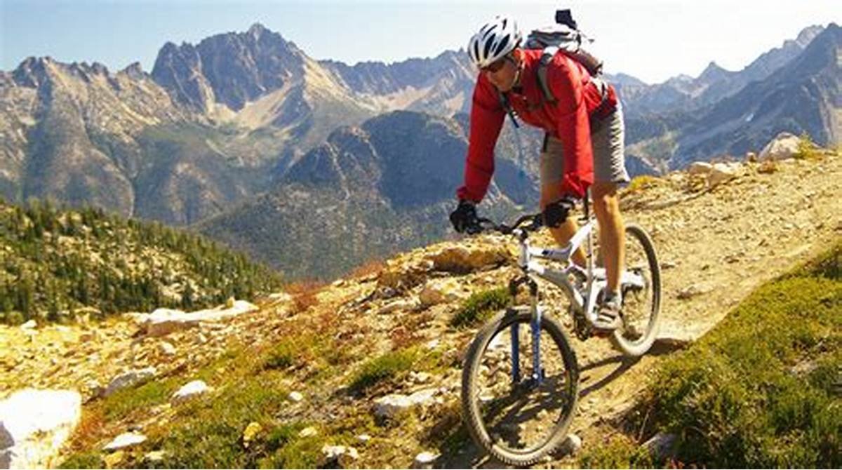 Choosing the Right Mountain Bike