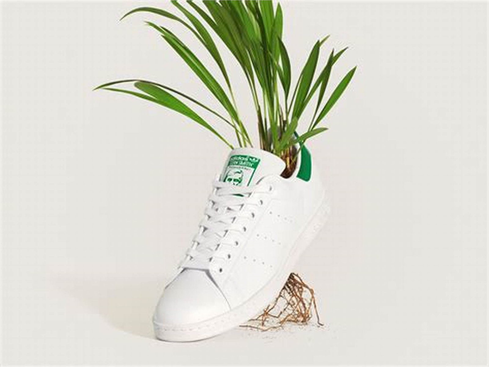 Sustainable Shoes: Eco-Friendly Footwear Options